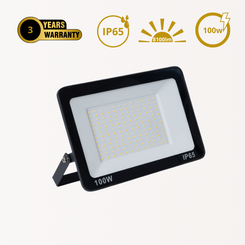 Poriettore LED da Esterno Basic 100W | IP65