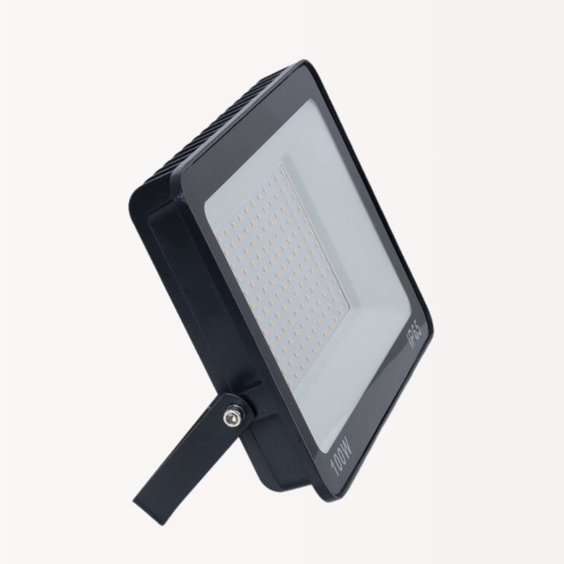 Poriettore LED da Esterno Basic 100W | IP65