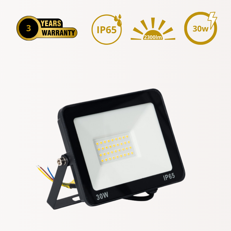 Poriettore LED da Esterno Basic 30W | IP65