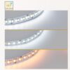 LED-Streifen 48V DC | CCT | 12W/m | IP20