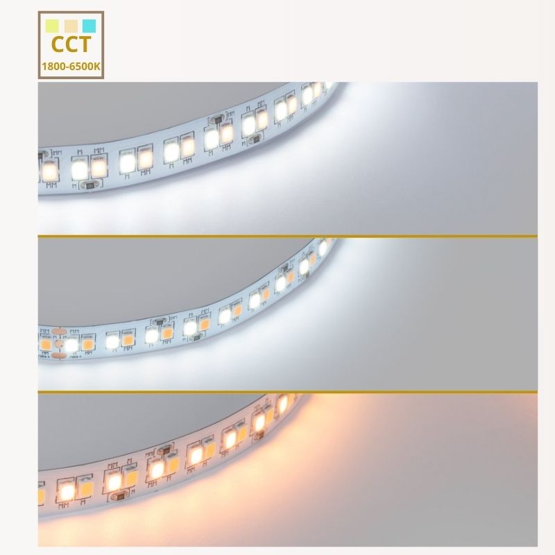 LED-Streifen 48V DC | CCT | 12W/m | IP20