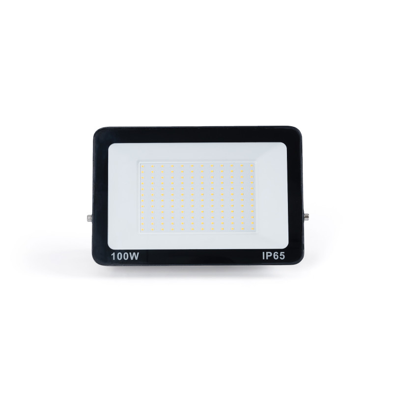 Poriettore LED da Esterno Basic 100W | IP65