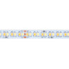 LED-Streifen 48V DC | CCT | 12W/m | IP20